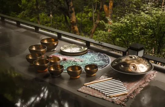 the Art of Playing Singing Bowls 1 jpg